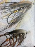 <p>By Popular Demand!  Spend a day with an awesome tyer and instructor learning to tie Spey, Dee, and Featherwing style steelhead flies. Will Bush will lead this course. You will tie a few different styles of flies including a traditional knox pattern like a Culdrain, a Lady Caroline, a Dee pattern like a Dodger, and a Pacific Northwest pattern like the Sol Duc. You will focus on all aspects of a well tied and proportioned Spey fly.</p>